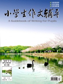 小学生作文辅导·中旬杂志